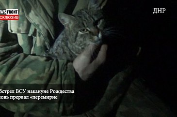 Бой перед Рождеством. Позиции батальона «Патриот»